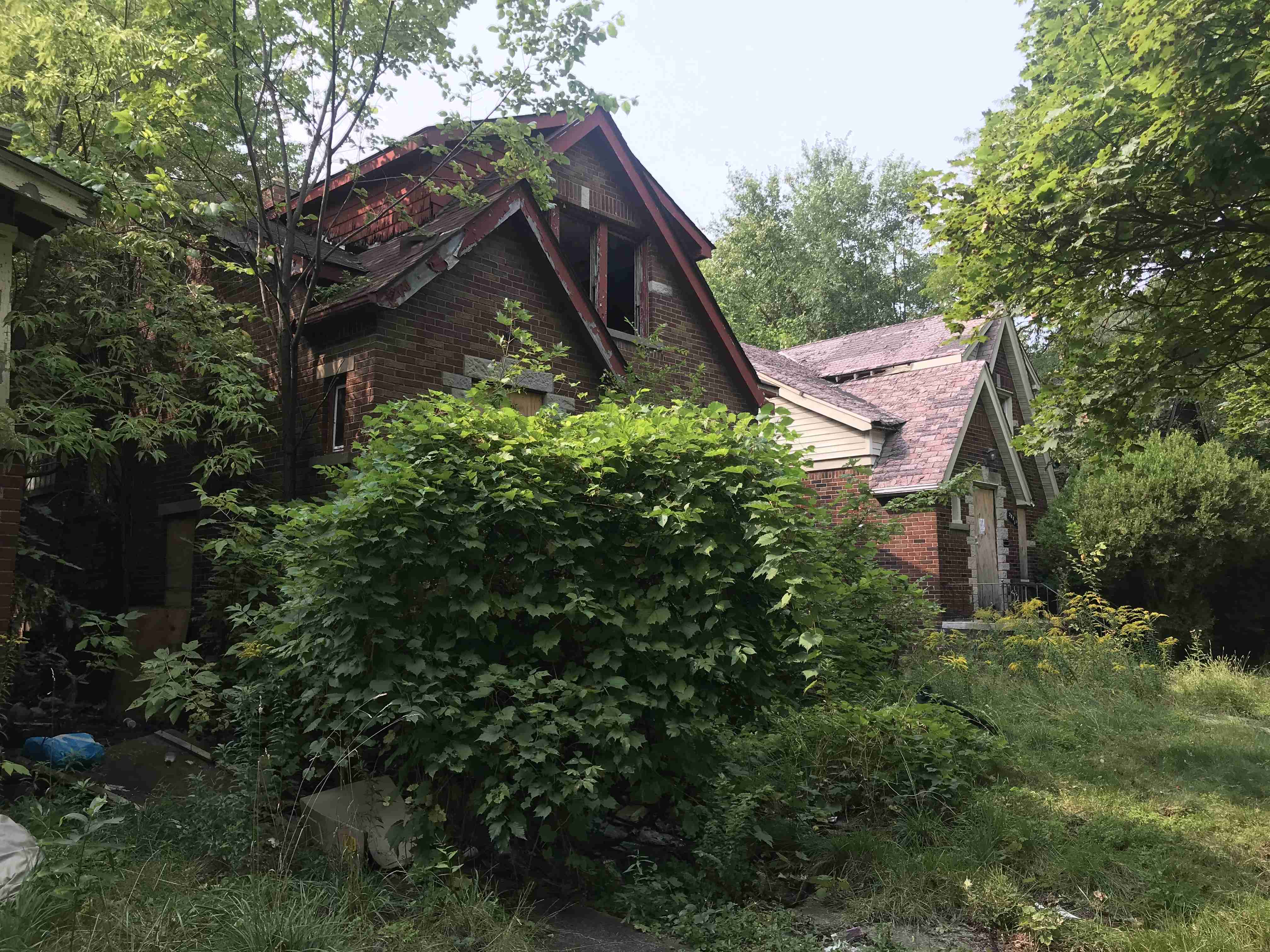 Photo Sep 15, 3 25 08 PM (1).jpg